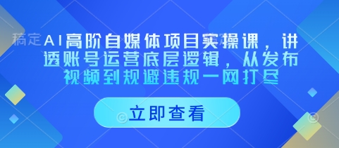 AI高阶自媒体项目实操课，讲透账号运营底层逻辑，从发布视频到规避违规一网打尽-项目创薪