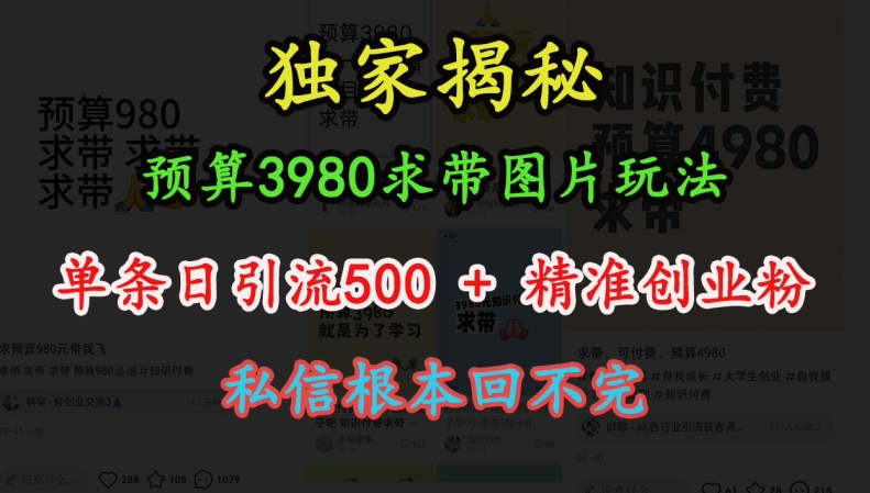 预算3980求带 图片玩法，单条日引流500+精准创业粉，私信根本回不完-项目创薪