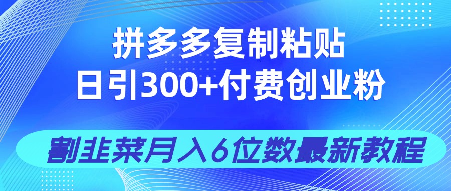 拼多多复制粘贴日引300+付费创业粉，割韭菜月入6位数最新教程！-项目创薪