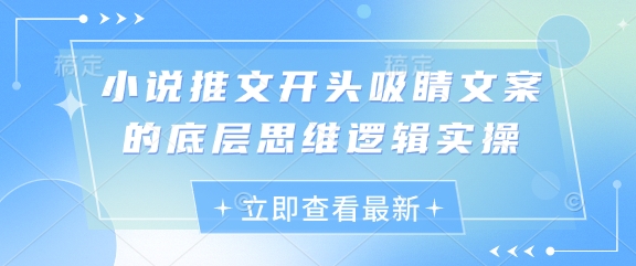 小说推文开头吸睛文案的底层思维逻辑实操-项目创薪