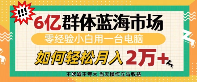 6亿群体蓝海市场，零经验小白用一台电脑，如何轻松月入过w【揭秘】-项目创薪