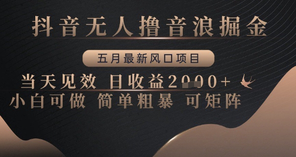 抖音无人撸音浪掘金，五月最新风口项目，当天见效，日收益多张，小白可做简单粗暴可矩阵【揭秘】-项目创薪