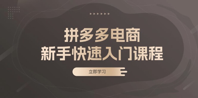 拼多多电商新手快速入门课程：涵盖基础、实战与选款，助力小白轻松上手-项目创薪
