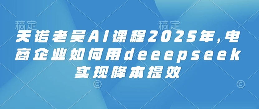 天诺老吴AI课程2025年，电商企业如何用deeepseek实现降本提效-项目创薪