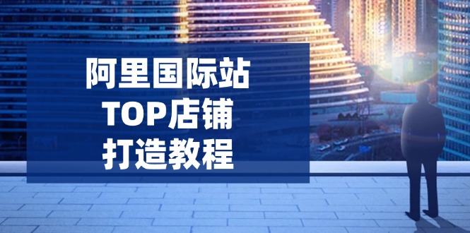 阿里国际站TOP店铺打造教程：涵盖平台到高阶，解决运营难题，提升询盘-项目创薪