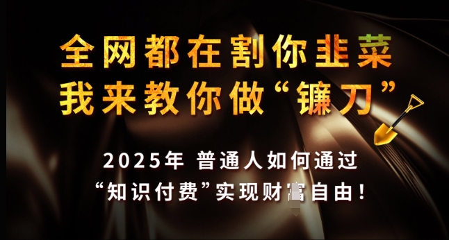 全网都在割你韭菜，我来教你做镰刀，2025年普通人如何通过 知识付费 实现财F自由【揭秘】-项目创薪