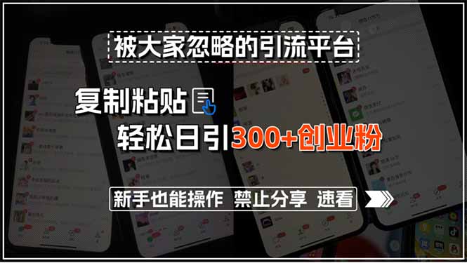 被大家忽略的引流平台，复制粘贴轻松日引300+创业粉，新手也能操作，禁…-项目创薪