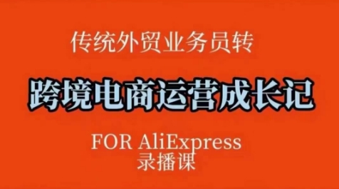 跨境电商速卖通运营课，​运营方法论+后台实操，逻辑清晰-项目创薪