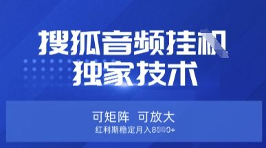 【搜狐音频挂G】独家技术，可矩阵可放大，红利期稳定月入8k【揭秘】-项目创薪