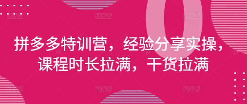 拼多多特训营，经验分享实操，课程时长拉满，干货拉满(更新25年4月)-项目创薪