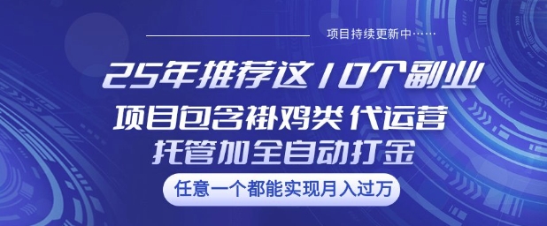 25年推荐这10个副业项目包含褂鸡类、代运营托管类、全自动打金类【揭秘】-项目创薪