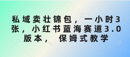 私域卖壮锦包，一小时3张，小红书蓝海赛道3.0版本， 保姆式教学-项目创薪