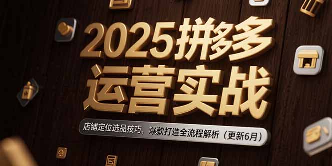 2025拼多多运营实战：店铺定位选品技巧，爆款打造全流程解析(更新6月-项目创薪