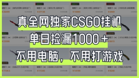 真全网独家CSGO挂G，单日捡漏1k+【揭秘】-项目创薪