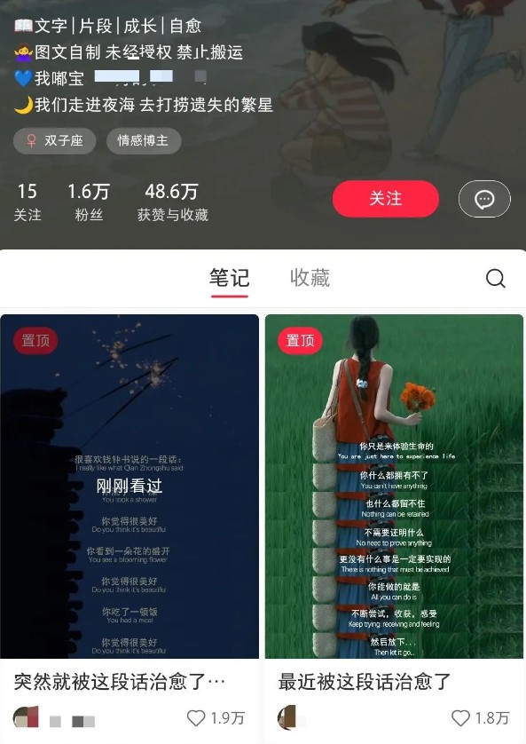 小红书治愈文案图文笔记，零门槛，一分钟制作轻松制作爆款作品月入万元-项目创薪