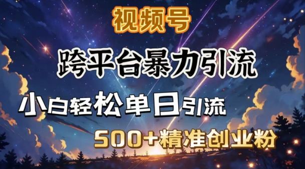 跨平台暴力引流，私域完美闭环，日引500+精准创业粉-项目创薪
