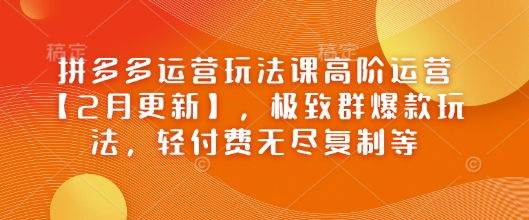 拼多多运营玩法课高阶运营【2月更新】，极致群爆款玩法，轻付费无尽复制等-项目创薪