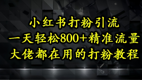 小红书打粉引流，一天轻松500+精准流量，大佬都在用的打粉教程-项目创薪