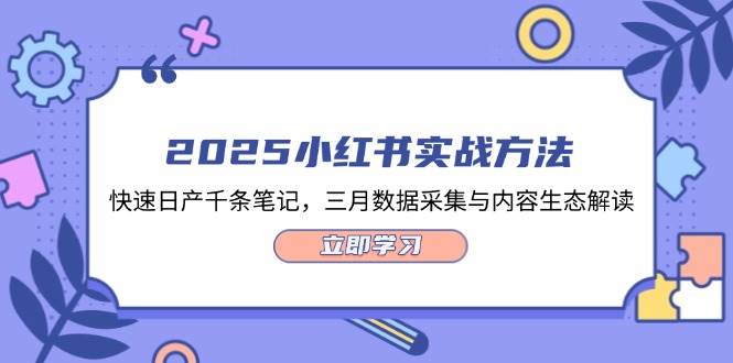 2025小红书实战方法，快速日产千条笔记，三月数据采集与内容生态解读-项目创薪