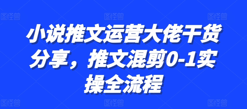 小说推文运营大佬干货分享，推文混剪0-1实操全流程-项目创薪