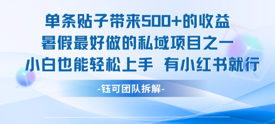 单条贴子带来5张的收益，暑假最好做的私域项目之一，小白也能轻松上手，有小红书就行-项目创薪