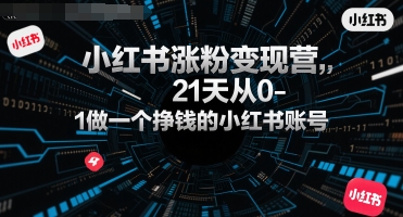 小红书涨粉变现营，21天从0-1做一个挣钱的小红书账号-项目创薪