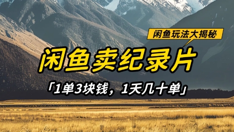 闲鱼卖纪录片1单3块钱，1天几十单，项目稳定有潜力-项目创薪