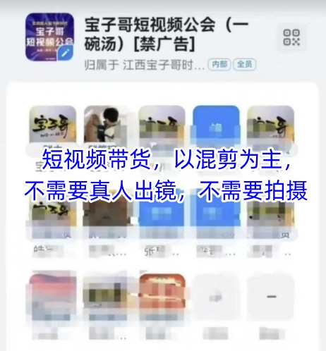宝子哥头部团队短视频带货，以混剪为主，不需要真人出镜，不需要拍摄【更新6月】-项目创薪