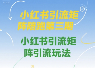 小红书引流矩阵陪跑第三期，小红书引流矩阵引流玩法-项目创薪