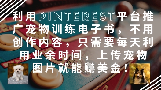 利用Pinterest平台推广宠物训练电子书，不用创作内容，只需要每天利用业余时间，上传宠物图片就能挣美金!-项目创薪