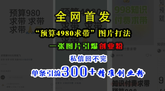 小红书“预算4980带我飞”图片打法，一张图片引爆创业粉，私信回不完，单条引流300+精准创业粉-项目创薪