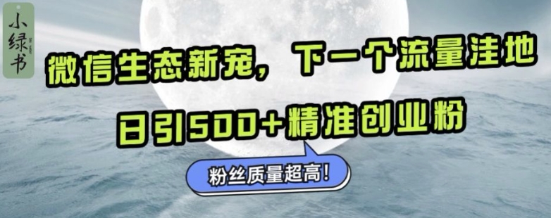 微信生态新宠小绿书：下一个流量洼地，日引500+精准创业粉，粉丝质量超高-项目创薪