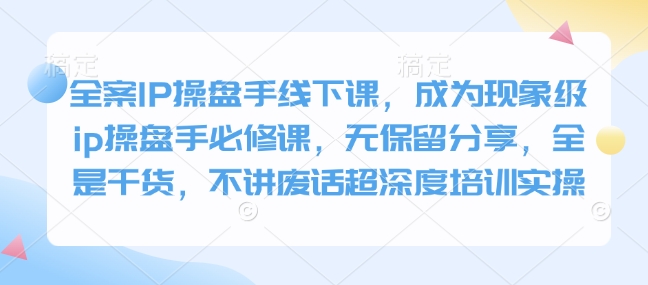 全案IP操盘手线下课，成为现象级ip操盘手必修课，无保留分享，全是干货，不讲废话超深度培训实操-项目创薪