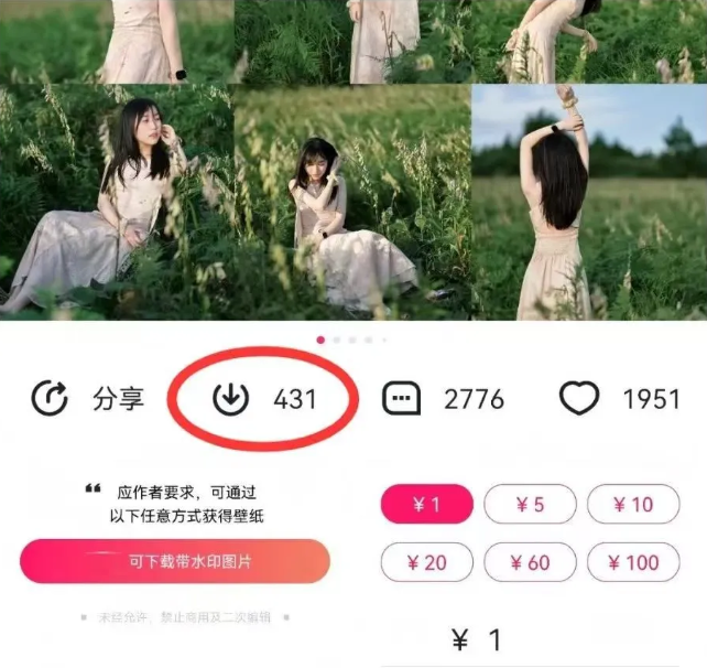 最新图虫搬运项目，收益无上限，利用AI小白也可日赚500+-项目创薪