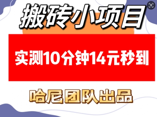 搬砖小项目，实测10分钟14元秒到，每天稳定几张(赠送必看稳定)-项目创薪