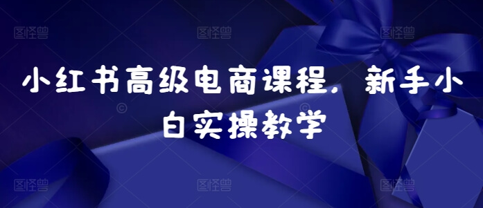 小红书高级电商课程，新手小白实操教学-项目创薪