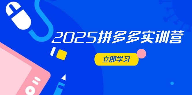 2025拼多多实训营：深度剖析运营关键，助力电商人快速提升-项目创薪