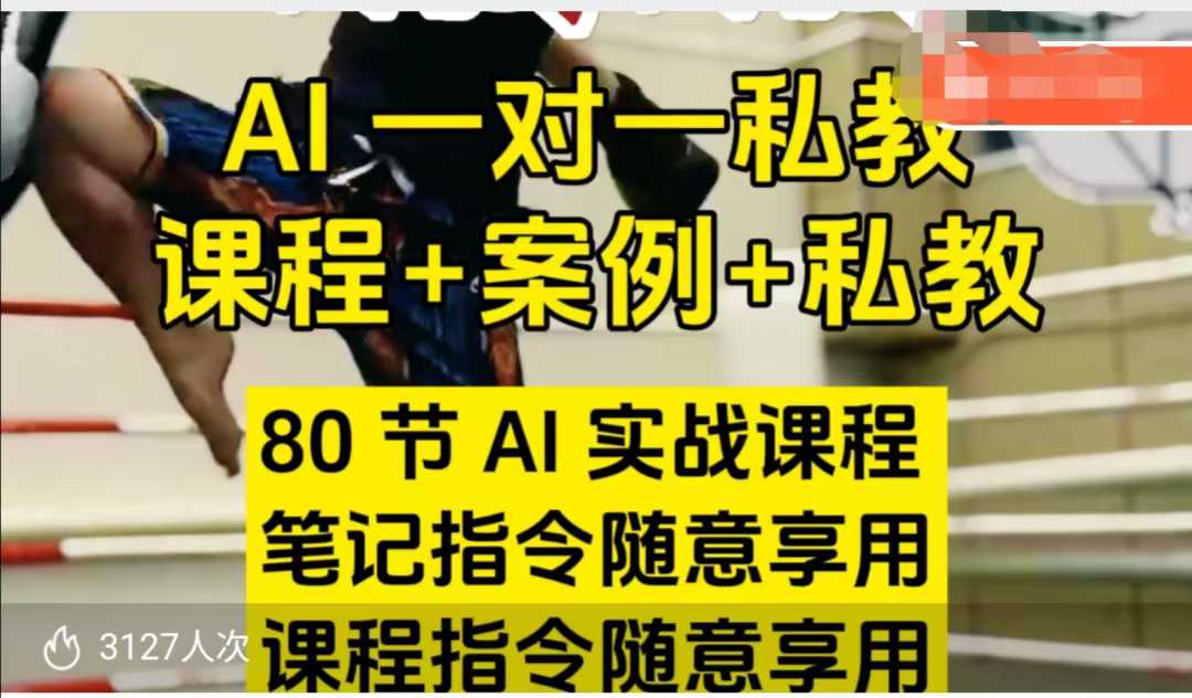 AI指令实战课，课程+案例，80节AI实战课程，笔记指令随意享用，课程指令随意享用(更新7月)-项目创薪