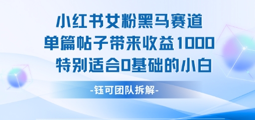 小红书女粉黑马赛道单篇帖子带来收益1k+，特别适合0基础的小白-项目创薪