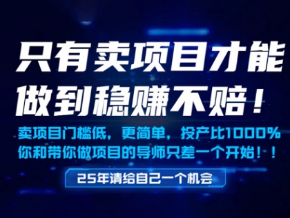 只有卖项目才能做到稳挣不赔，门槛低，更简单，你也可以年入百个W【揭秘】-项目创薪