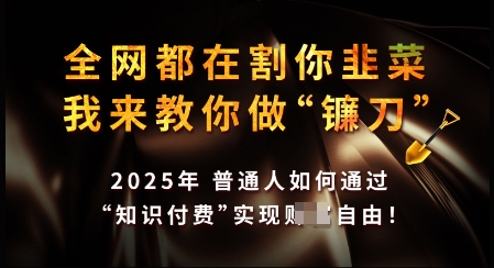 知识付费如何做到月入过W+，2025我来教你做“镰刀”【揭秘】-项目创薪