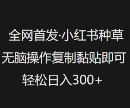 全网首发，小红书种草无脑操作，复制黏贴即可，轻松日入3张-项目创薪