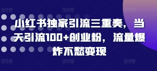 小红书独家引流三重奏，当天引流100+创业粉，流量爆炸不愁变现【揭秘】-项目创薪