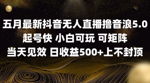 2025五月最新无人直播撸音浪单日产出5张+实操教程【揭秘】-项目创薪