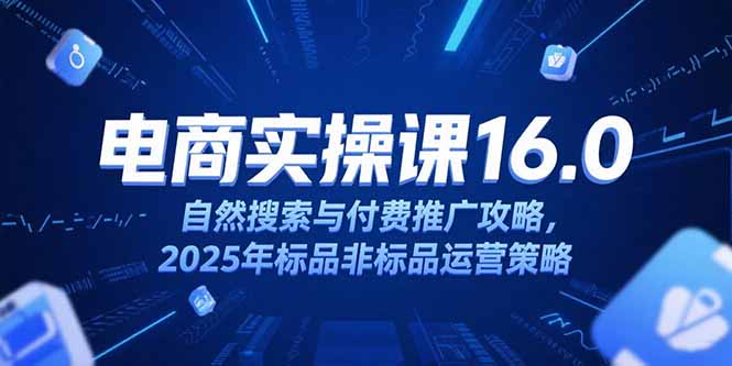 淘宝电商运营课16.0，自然搜索与付费推广攻略，2025年标品非标品运营策略-项目创薪