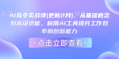 AI指令实战课(更新2月)，从基础概念到高级功能，利用AI工具提升工作效率和创新能力-项目创薪