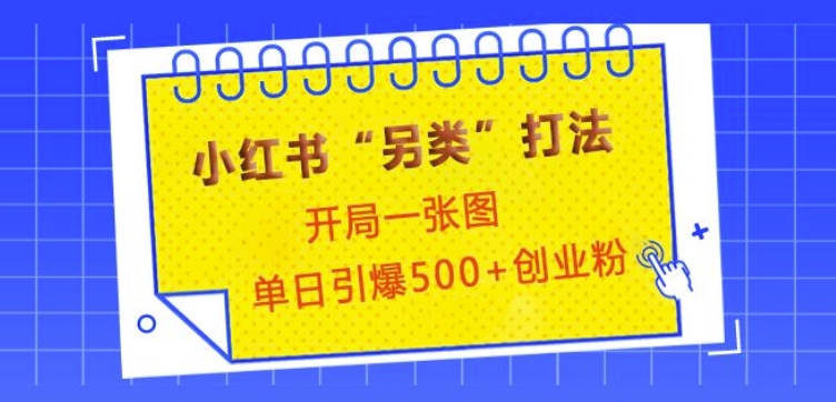 小红书“另类”打法，开局一张图，单日引爆500+精准创业粉【揭秘】-项目创薪