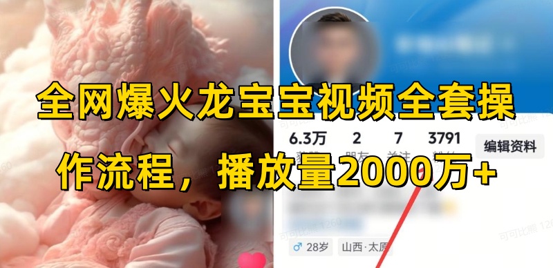全网爆火龙宝宝视频全套操作流程，播放量2000万+-项目创薪