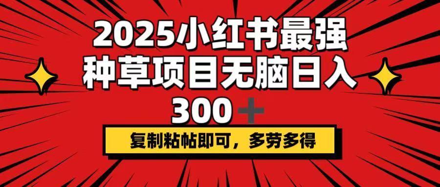 2025小红书最强种草项目，无脑日入300+，复制粘帖即可，多劳多得-项目创薪