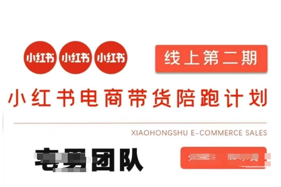 小红书电商带货课2期，月利润20个的小红书电商的有货源，无货源，虚拟产品，付费投流等整套玩法-项目创薪